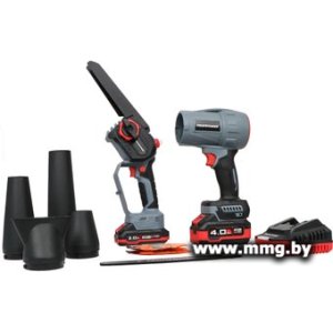 Profipower ProfiSet-2D20 (воздуходувка, цепная пила, 2 АКБ)