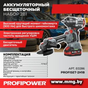 Profipower ProfiSet-2H20 E0286 (гайковерт, болгарка, 2 АКБ, кейс)