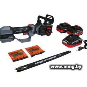 Купить Profipower PL-12 (с 2-мя АКБ) в Минске, доставка по Беларуси