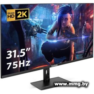 Купить ExeGate SmartView ES3207TA EX299474RUS в Минске, доставка по Беларуси