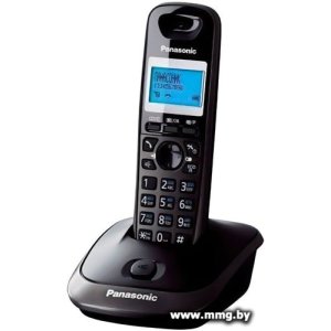 Panasonic KX-TG2511UAT
