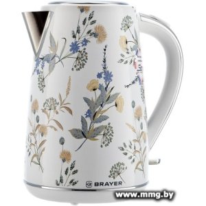Чайник Brayer BR1083YE