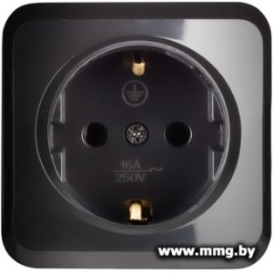 Розетка SmartBuy Юпитер SBE-03b-16-S1-Z