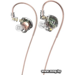 Music Public Kingdom IEM120