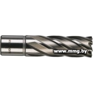 Фреза Milwaukee 4932343295