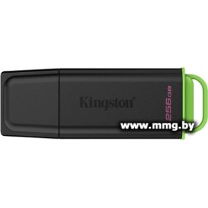 256GB Kingston DataTraveler Exodia 256GB DTXG2/256GB
