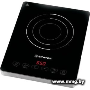 Brayer BR2810