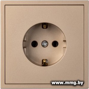 Розетка SmartBuy Капелла SBE-09c-16-S1-Z