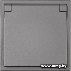 Розетка SmartBuy Капелла SBE-09g-16-S1-1ZK