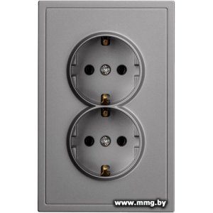 Розетка SmartBuy Капелла SBE-09g-16-S2-Z