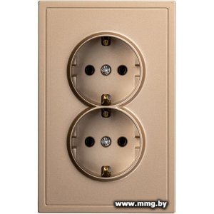 Розетка SmartBuy Капелла SBE-09c-16-S2-Z