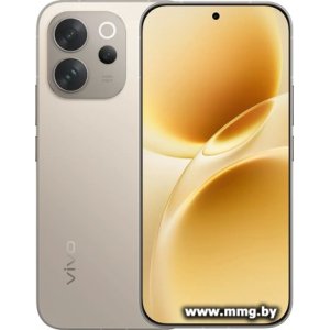 Vivo V70 V2538 12GB/256GB (серый)