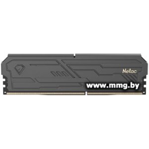 8GB PC4-25600 Netac NTSHD4P32SP-08K