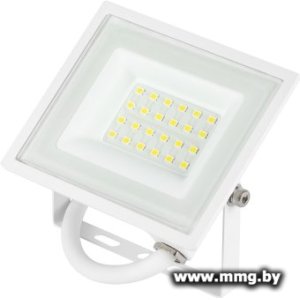 Уличный прожектор ЭРА LPR-023-W-65K-020