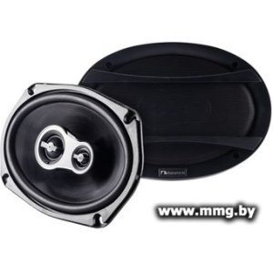 Коаксиальная АС Nakamichi NSE6958