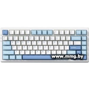 Купить MCHOSE G75 Pro Blue (KTT Cabbage Tofu Switch V2) в Минске, доставка по Беларуси