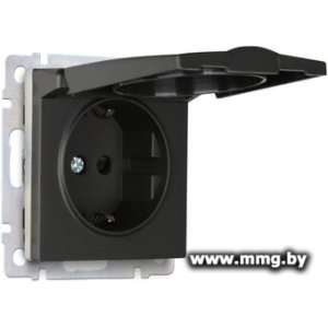Розетка SmartBuy Нептун SBE-05b-16-S1-ZK