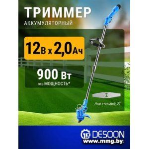 Desoon DSTR12 (с 1-им АКБ)