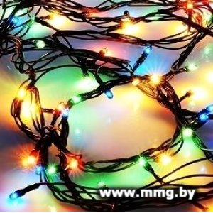 Купить Гирлянда ECOLA N4YM06ELC в Минске, доставка по Беларуси