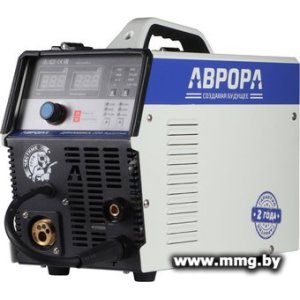 Сварочный инвертор Аврора Динамика 200 Адаптив