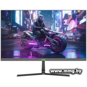 Elsa EA241GS Pro