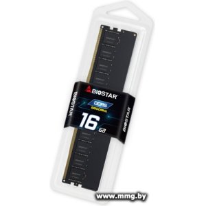 16GB PC5-44800 Biostar DO56MU5N16