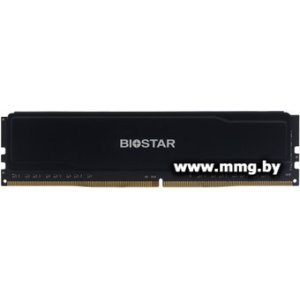 Купить 8GB PC4-25600 Biostar DO32NU4H08 в Минске, доставка по Беларуси