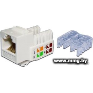 Розетка TWT TWT-OK45UTP/5E-WH