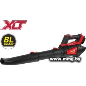 Воздуходувка Wortex BB 1218-1 D XLT Solo 2333192 (без АКБ)