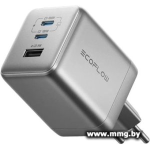 Зарядное устройство EcoFlow Rapid Pro Charger 100W (5021201008)