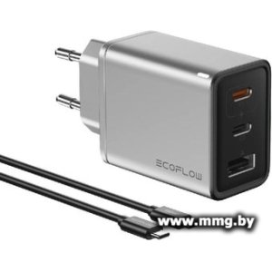 Зарядное устройство EcoFlow Rapid GAN Charger 65W (5016801003) + кабель