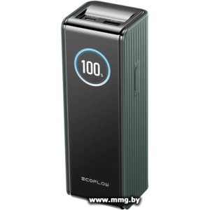 EcoFlow Rapid 25000mAh (без кабелей, 170 Вт, зеленый) 5023001018