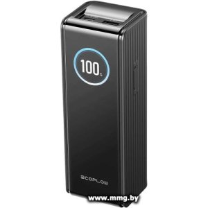 EcoFlow Rapid 25000mAh (без кабелей, 170 Вт, черный) 5023001006
