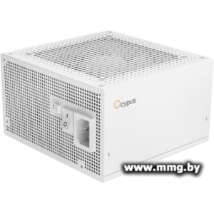 850W Ocypus Delta P850 Delta-P850-B1FDWH025X-EU