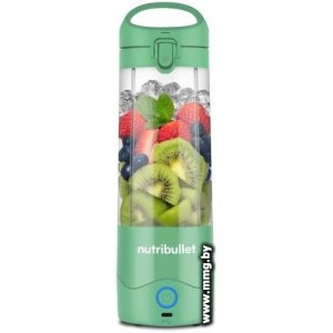 NutriBullet NBP003LG