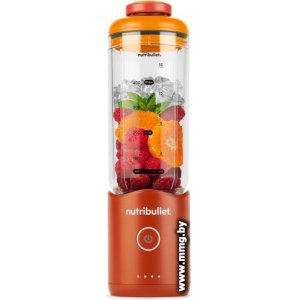 NutriBullet Flex NBP013OR