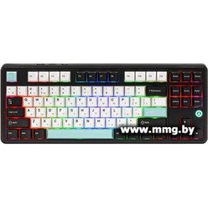 Ajazz MK87 (черный/белый, Ajazz Daydream)