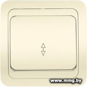 Купить Выключатель SmartBuy Марс SBE-02i-10-SW12-0-c в Минске, доставка по Беларуси