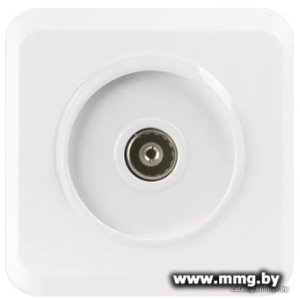 Розетка SmartBuy Юпитер SBE-03w-S1-TV