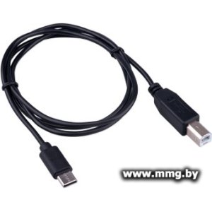 Кабель Гарнизон GCC-USB2-CMBM-1M