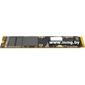 SSD 256GB Arktek M2-256GP (AK-M2-256GP)