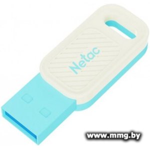 64GB Netac UM75 NT03UM75B-064G-32BL (белый/голубой)