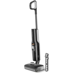 Roborock Wet and Dry Vacuum Cleaner F25 LT (с русской озвучкой, черный)