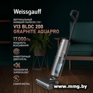 Weissgauff V13 BLDC 200 Graphite AquaPro