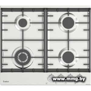 Evelux HEG 650 X