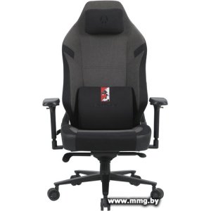 Evolution Epic Fabric (черный/графитовый)