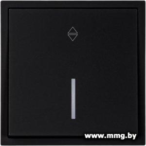 Выключатель SmartBuy Капелла SBE-09b-10-SW12-1