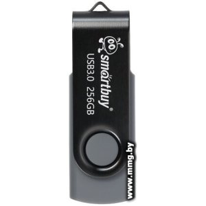 256GB SmartBuy Twist (черный/серый) SB256GB3TWK