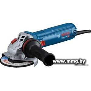 Bosch GWS 12-125 S Professional 06013A6080 (китайская версия)