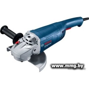 Bosch GWS 2200 Professional 06018C1080 (китайская версия)